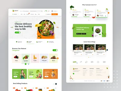 Delicacy - Organic & Grocery website design landing page