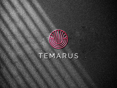 TEMARUS BRAND agency brand branding design identity illustration logo luxe new ui