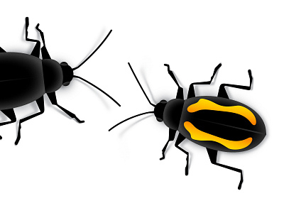 Beetles design graphic design illustration photoshop vector