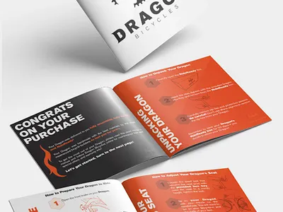 Dragon Bicycles Manual bold branding design manual photoshop print