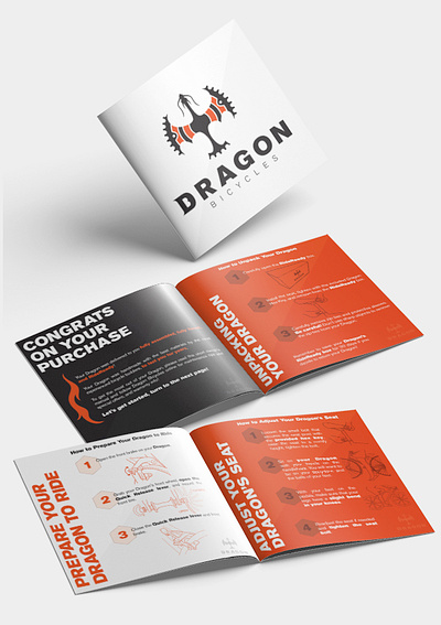 Dragon Bicycles Manual bold branding design manual photoshop print