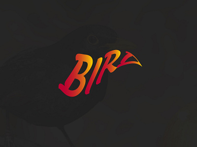 BIRD TEXT 3d animation bird branding design flat graphic design illustration illustrator logo minimalist modern motion graphics text ui ux vector