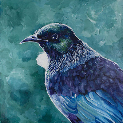 New Zealand Tui in Blue arcylic bird canvas drawing fine art illustration new zealand oil painting texture