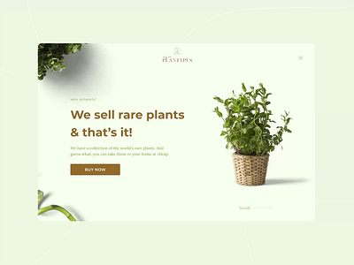 Plantypus - In Motion 3d animation logo motion graphics ui