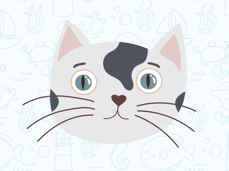 Head rig adobe after effects animation animation 2d animation after effects cat cat rig face rig head rig motion graphics rig rigging vector