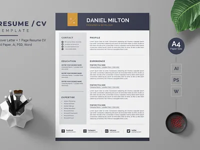 Modern Resume-24 cv modern design professional design resume
