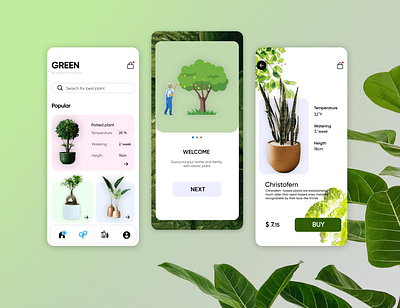 Plant UI 3d animation app branding dailyui dailyux design designing figma graphic design icon illustration logo motion graphics plant shopping typography ui vector