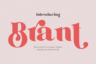 Brant Display Font advertising branding classy display display font elegant fashion font fonts lettering logo magazine minimalist modern sans serif serif stylish typeface typography unique