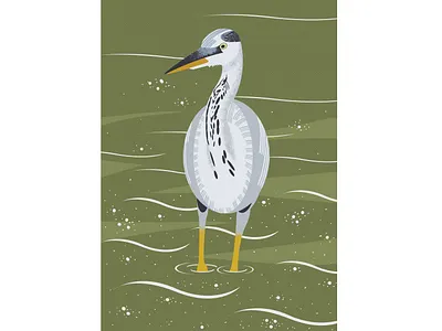 Gray heron / Héron cendré artwork digital digital art digital artwork digital illustration digital painting illustration