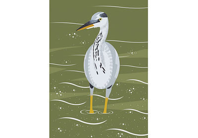 Gray heron / Héron cendré artwork digital digital art digital artwork digital illustration digital painting illustration