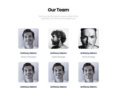 Landing Page ui