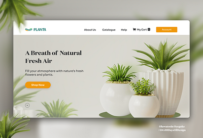 Plant Shop Website Design animation design e commerce graphic design lagos landing page ui ui design