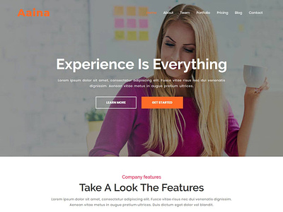 Aaina - One Page Parallax Template