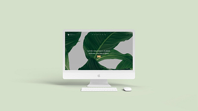 Interior Plant Online Store - Home Page - Desktop calm design home page layout plants squarespace web web design web experience website
