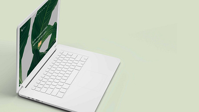 Interior Plant Website MacBook Home Page calm design home page layout modern plants squarespace web design website