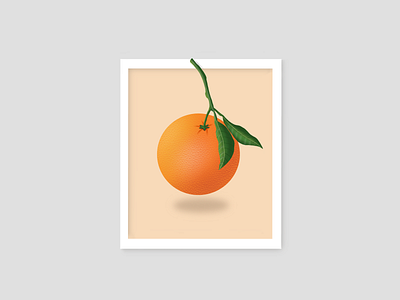 Orange digital art drawing food graphic design green illustration leaves minimal nature orange