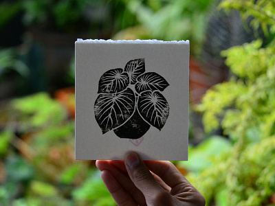 Philodendron Gloriosum botanical engraving linocut nature paper philodendron plants print