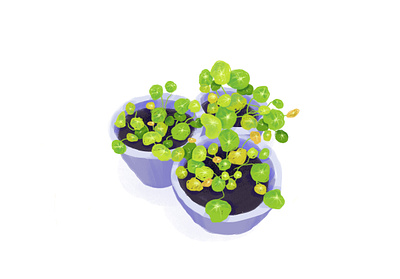 Plants adobe fresco drawing green illustration nature plants texture