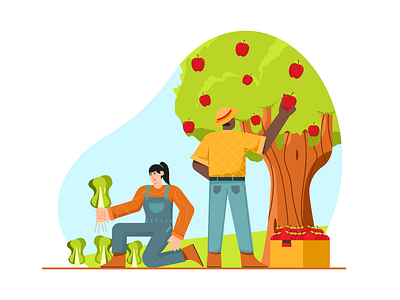 Harvesting Illustration agriculture b2b illustration business character farm fresh fruit harvest harvesting illustration illustrations vegetable village