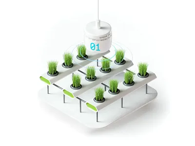 IOGRU branding design ecosystem graphic design green identity illustration logo pixies wearepixies