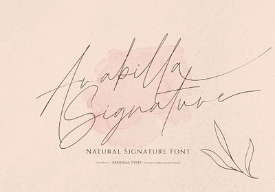 Arabilla Signature branding design font free font line logo luxury font script font signature font type typography