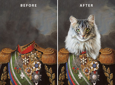 Animal photo retouching editing photo editing photo retouching