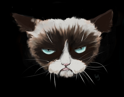 Grumpy Cat Fan Art cat fanart grumpycat illu illustration