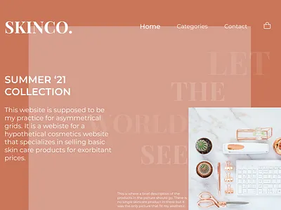 Skinco Asymmetrical grid landing page asymmetrical grid design grid landing page design ui ux