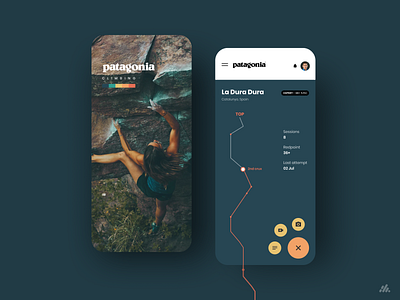 Patagonia Climbing UI branding design illustration interface logo mobile typography ui ux design visual design