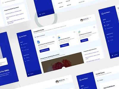 Payhippo - Internal SME Dashboard dailui design equity finance fintech fintech app illustration loans logo payhippo sme start up ui uid ux uxui web yc ycombinator