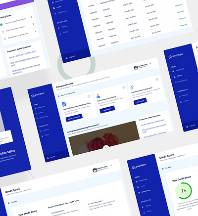 Payhippo - Internal SME Dashboard dailui design equity finance fintech fintech app illustration loans logo payhippo sme start up ui uid ux uxui web yc ycombinator