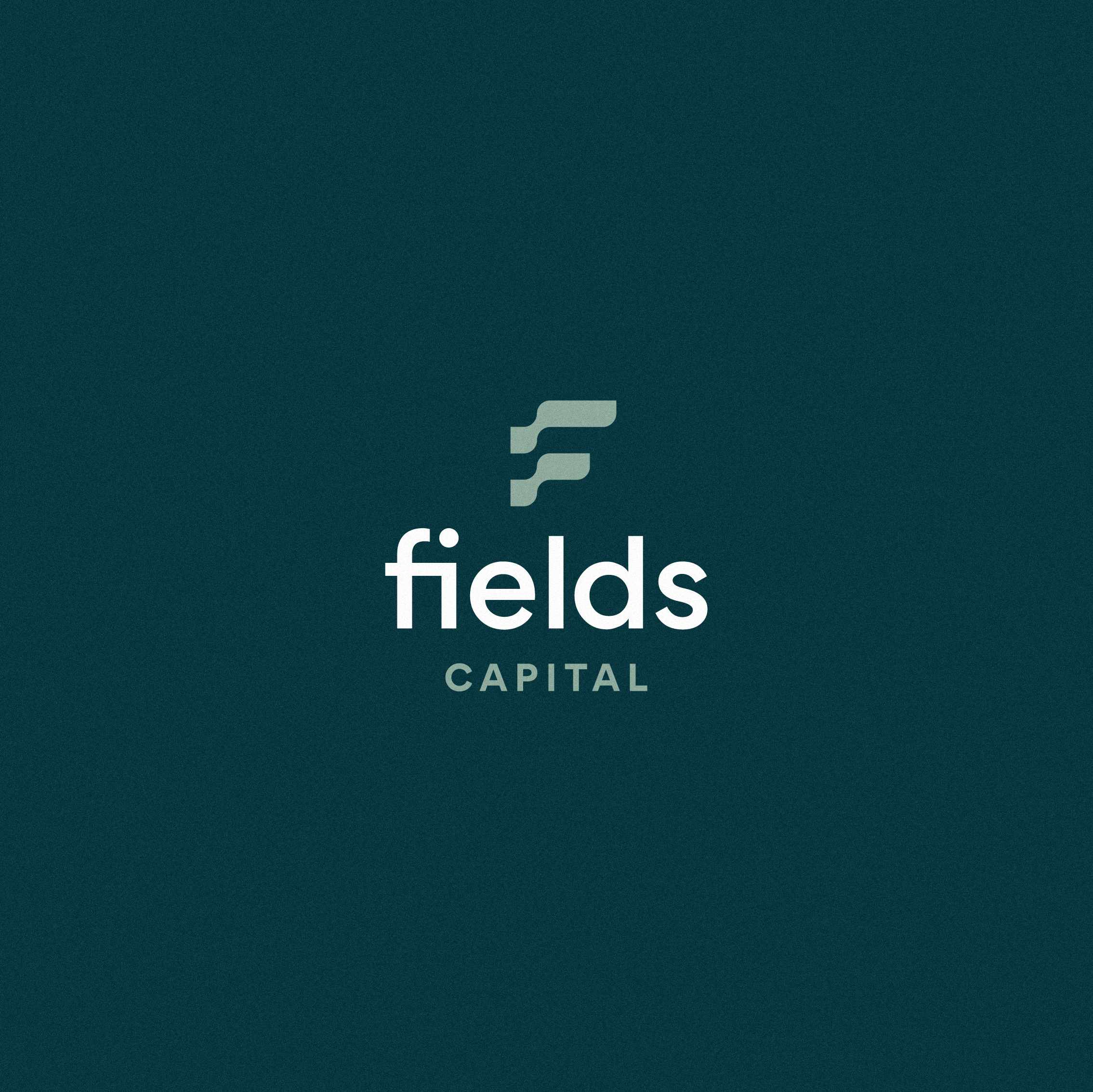Example of Fields Capital