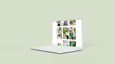 Modern Interior Plant Web Design design floral home page interior design layout minimal modern plants squarespace web design web experience web interface