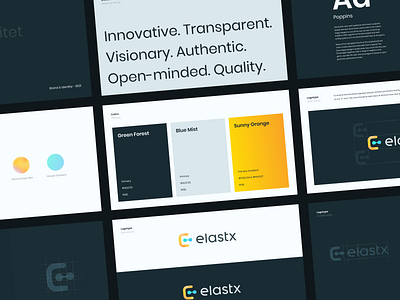 Elastx Brandbook brand branding cloud colors dark design logo minimal ui web