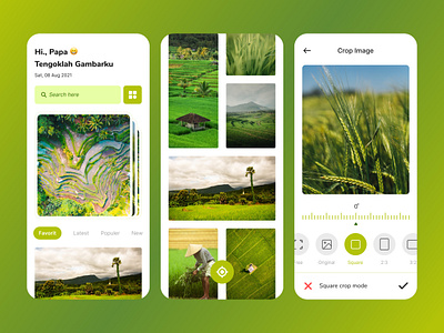 Photograph Apps color design field forest garden gradient grass interface jungle mobileapp natural phenomena photograph ricefield ui uidesign uiux ux uxdesign