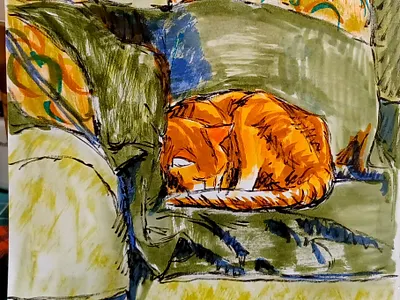 Jasper Napping cat hand drawn illustration ink pens sketch