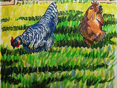 Poultry Promenade chickens hand drawn illustration ink pens sketch