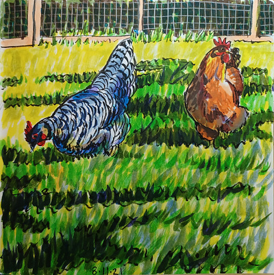 Poultry Promenade chickens hand drawn illustration ink pens sketch