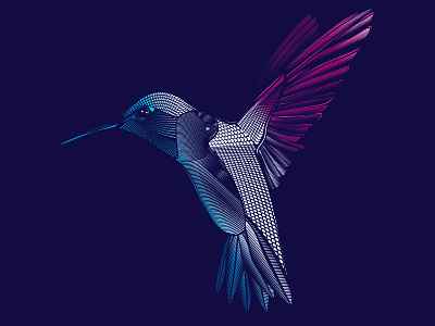 Hummingbird - by Fieldinspired animal art conceptual art design digital art illustration vector vector art