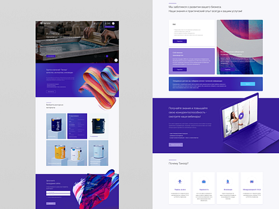 Tanzor - Paint Website figma ui design ux design web design