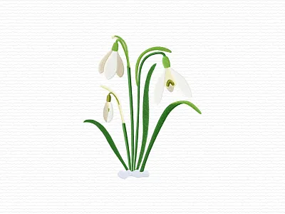 Snowdrop flowers adobe illustrator embroidery embroidery design embroidery digitizer embroidery digitizing embroidery digitizing company flower leaves machine embroidery design snowdrop spring