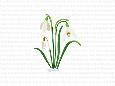 Snowdrop flowers adobe illustrator embroidery embroidery design embroidery digitizer embroidery digitizing embroidery digitizing company flower leaves machine embroidery design snowdrop spring