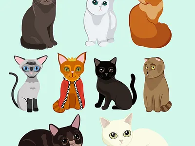 Cute Cats cats illustration illustrator vector vector illustration