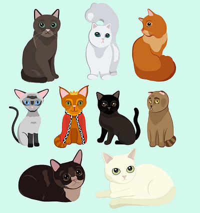 Cute Cats cats illustration illustrator vector vector illustration