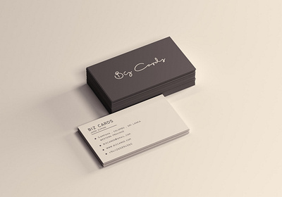 Biz Cards Design design graphic design illustration logo