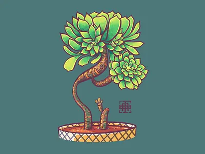 Irish Rose art artwork botanical illustration illustrative illustrator plant plants procreate raster succulent