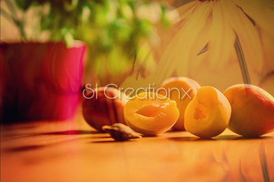 The morning tales of apricots and peaches 3d abstract animation app branding design graphic design icon illustration logo manipulation motion graphics photo manipulation photoshop picsart picture editing ui ux vector