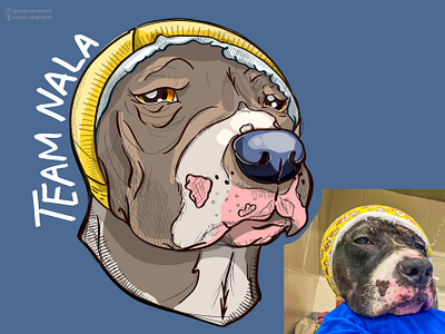 Team Nala animal rescue animals branding charity comic book custom artwork design dog dogs graphic design hand drawn illustration logo nonprofit pets puppies puppy rescue shelter vector