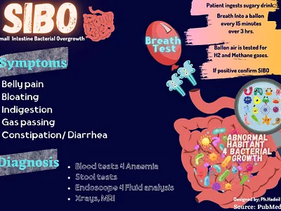 SIBO Flashcard or simple Mindmap- medical animation graphic design illustration logo ui