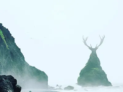 Nature rising design